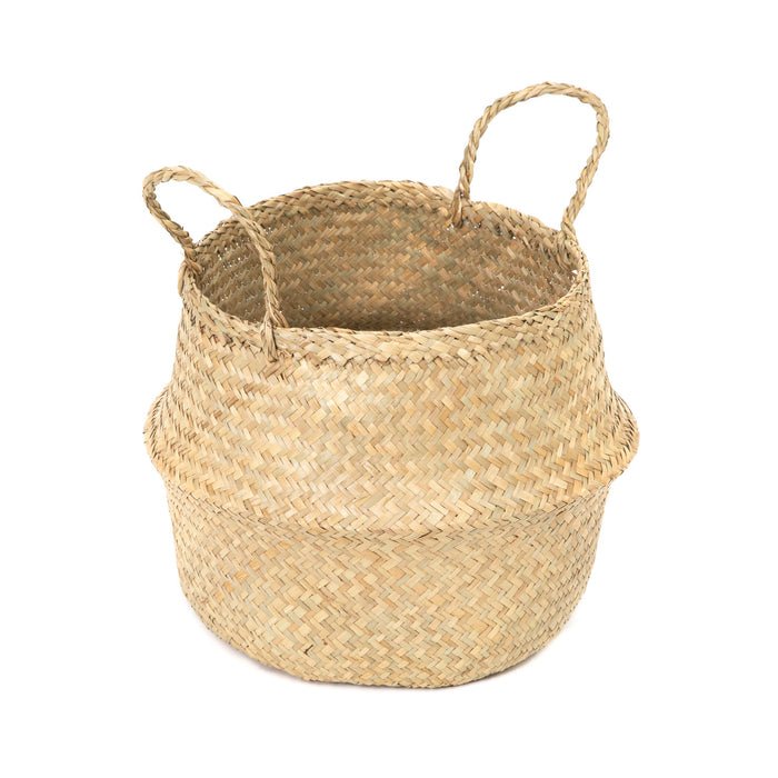 271486-x31.jpg (2647628) 