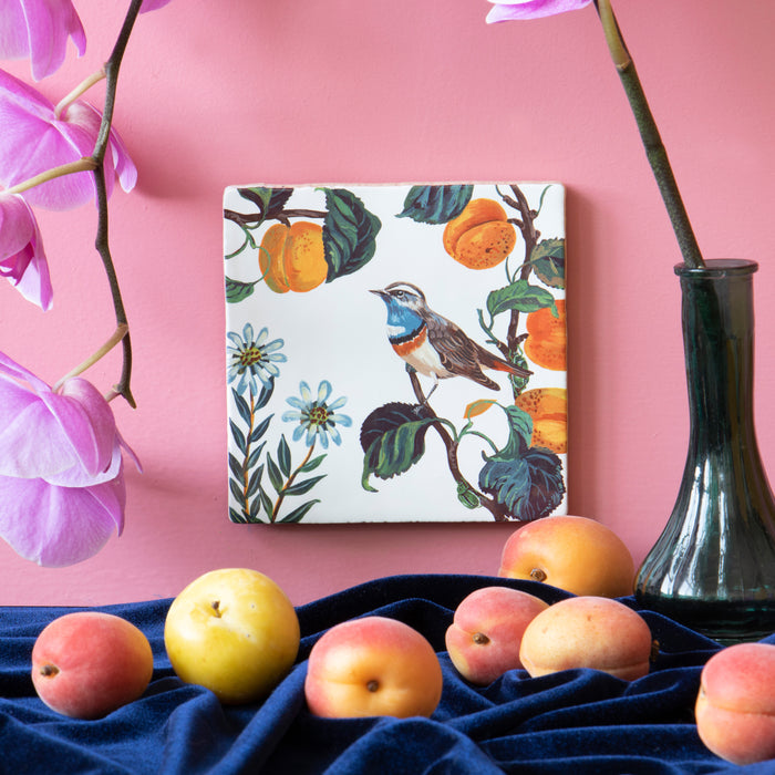 308486-x01.jpg (2652674) 