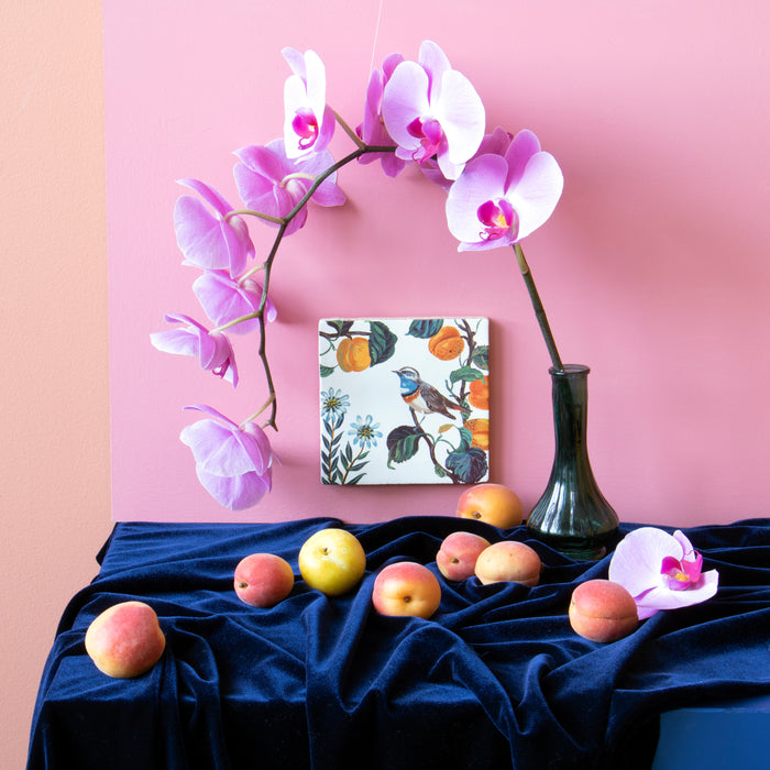 308486-x02.jpg (2652676) 