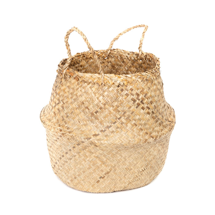 271487-x31.jpg (2653166) 