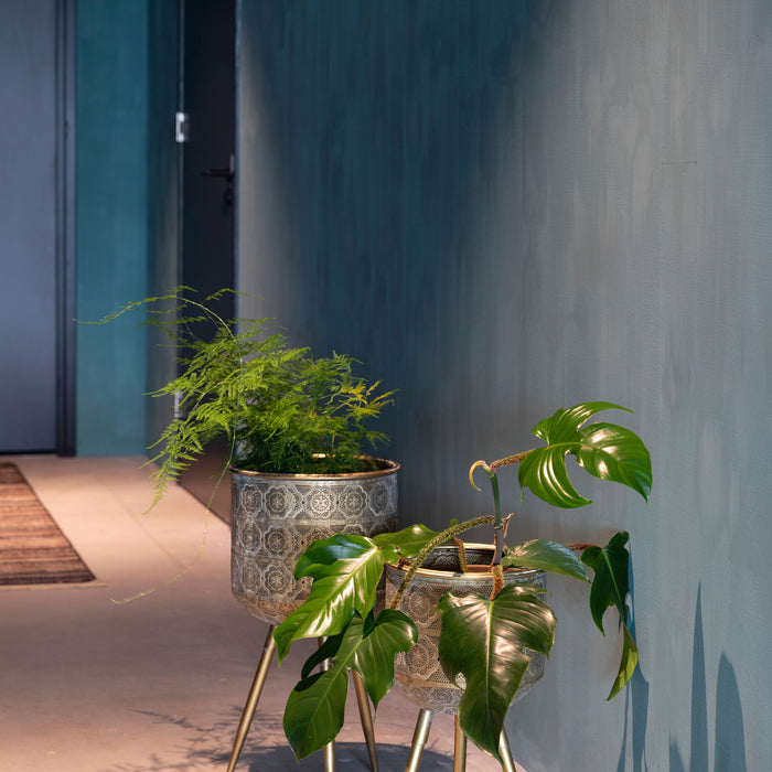 274521-x07.jpg (2655410) 