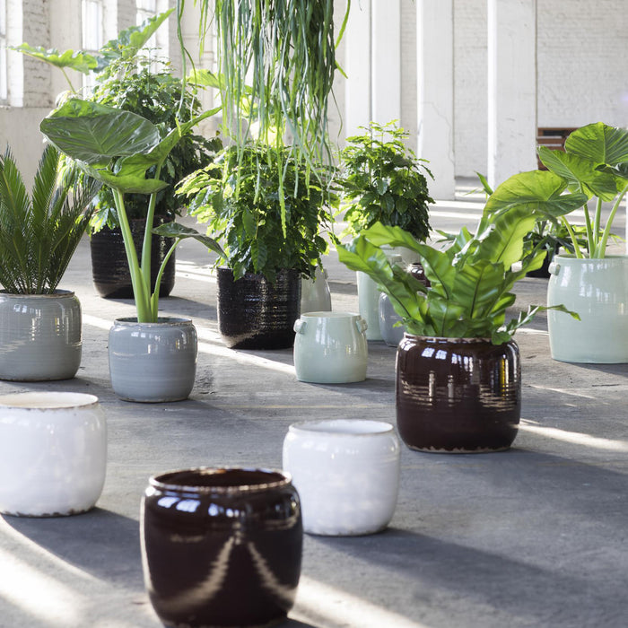 SERAX - Costa Bloempot S - Bruin