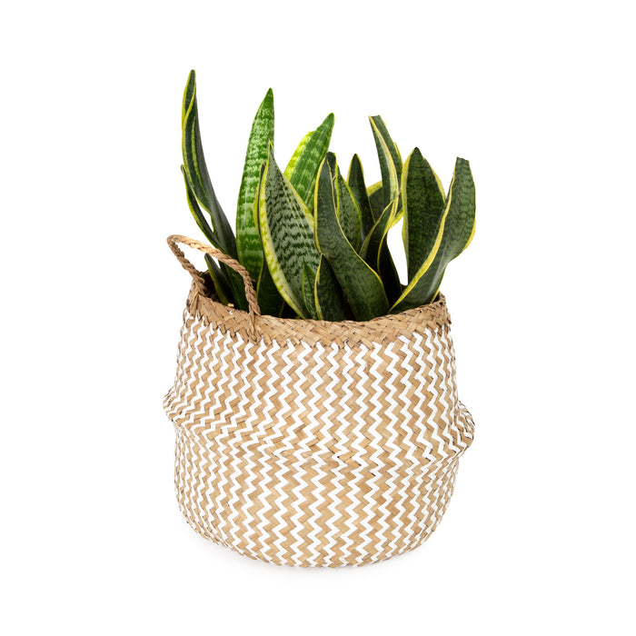 271491-x03.jpg (2667489) 