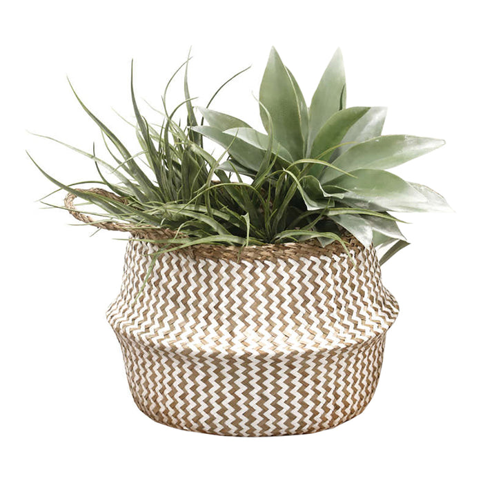 271491-x1.jpg (2667494) 