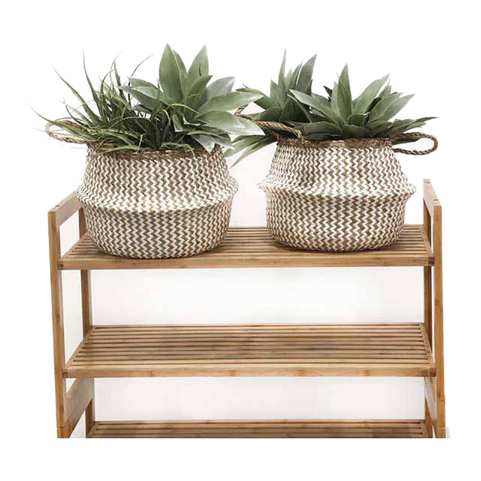 271491-x2.jpg (2667495) 