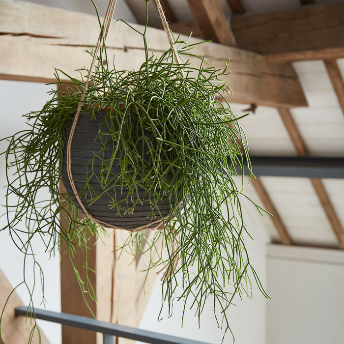 Capi Europe Nature Rib Vaas Rond Bloempot 40 cm