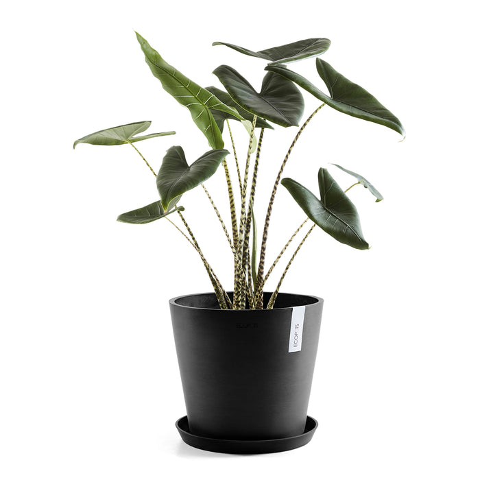 Ecopots Amsterdam 40