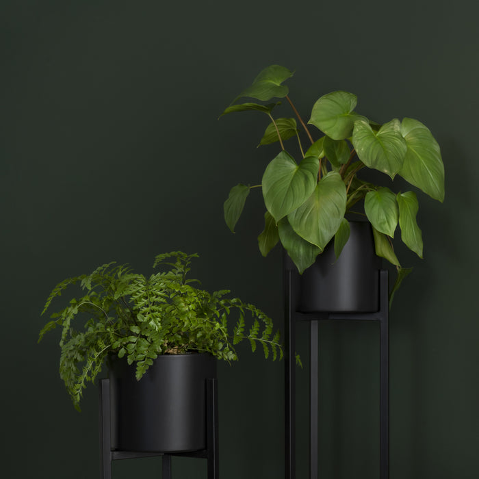 QUVIO Plantenstandaard inclusief pot - 22x22x75 cm - Zwart - M