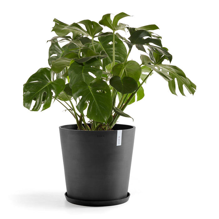 Ecopots Amsterdam 50