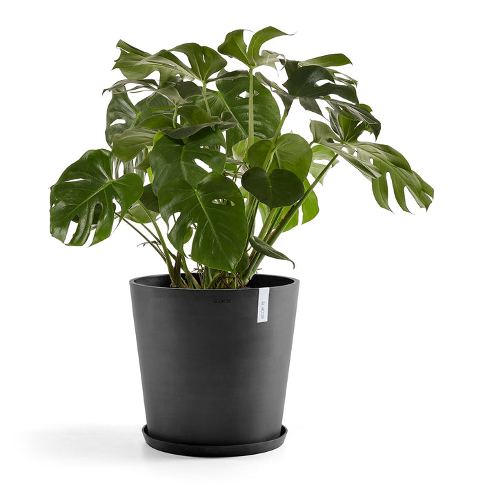 Ecopots Amsterdam 60