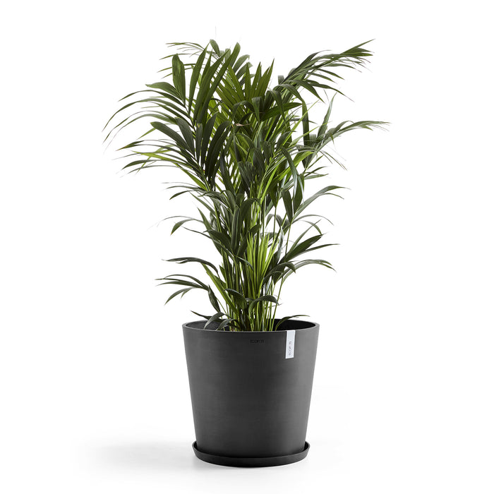 Ecopots Amsterdam 60