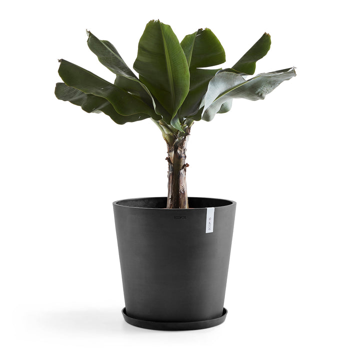 Ecopots Amsterdam 60