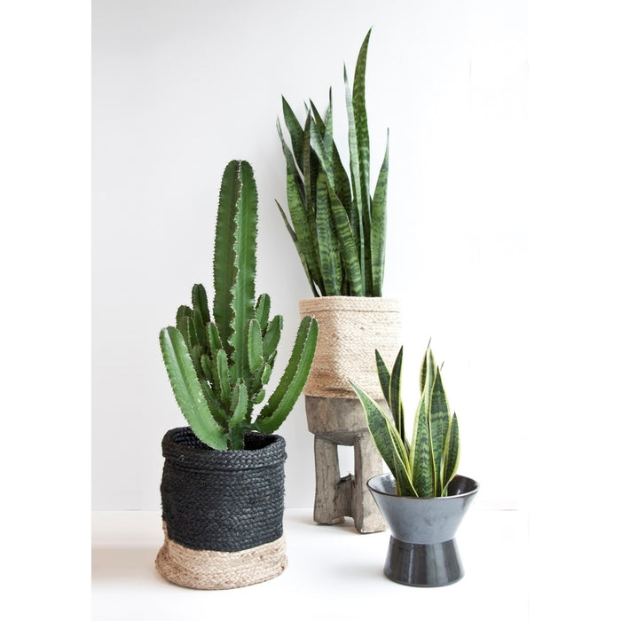 258501-2.jpg (2694932) 