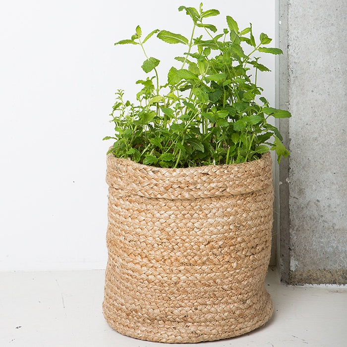 258501-3.jpg (2694933) 