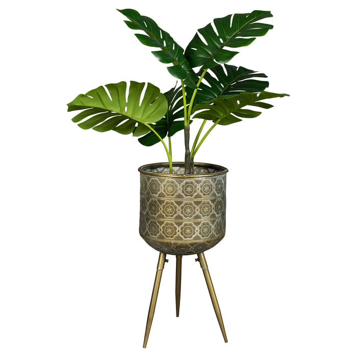 274522-x07.jpg (2702428) 