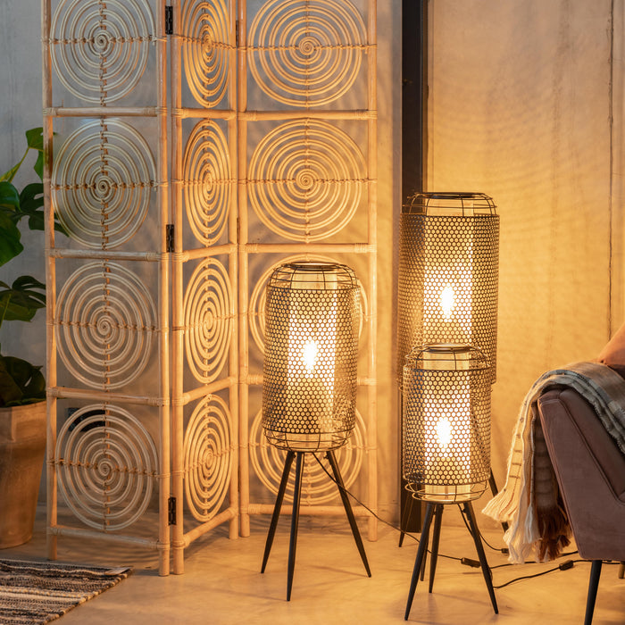 274523-x09.jpg (2705272) 