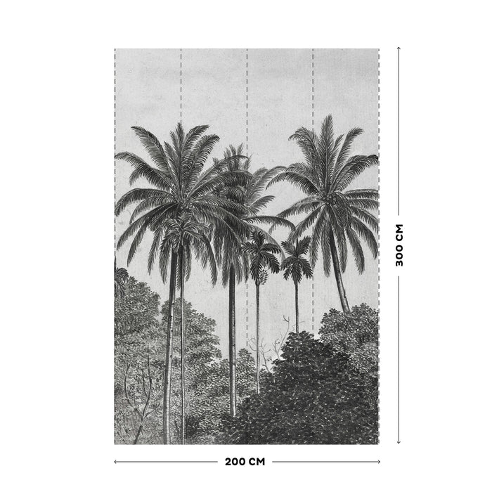 Art for the Home - Fotobehang - Palm Deco - Grijs|Zwart - 300x200 cm