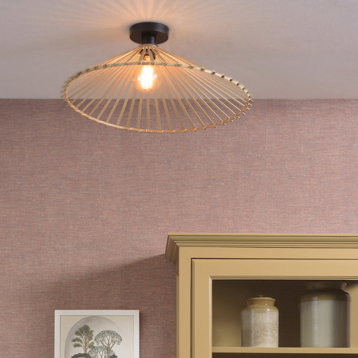 299530-x01.jpg (2720666) 