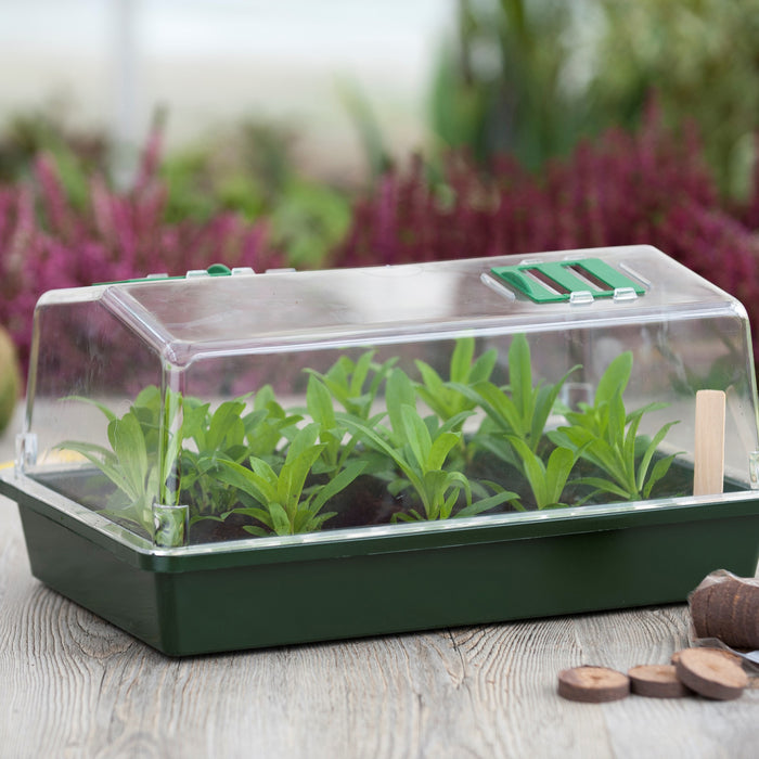 Nature Mini-kweekbak