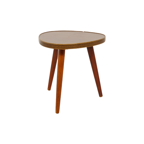 Reliving Vintage Plantentafeltje Met Donker Gefineerd Blad