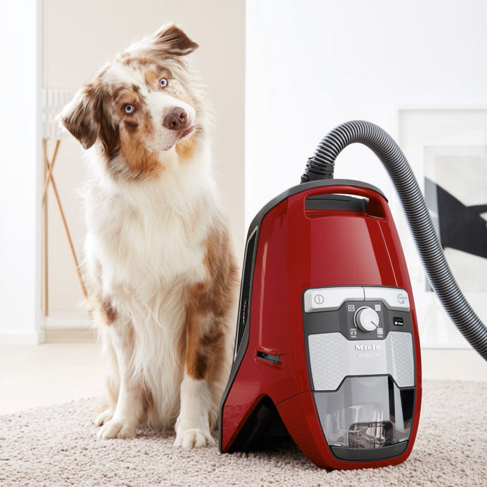 Miele Blizzard CX1 Cat & Dog PowerLine Stofzuiger