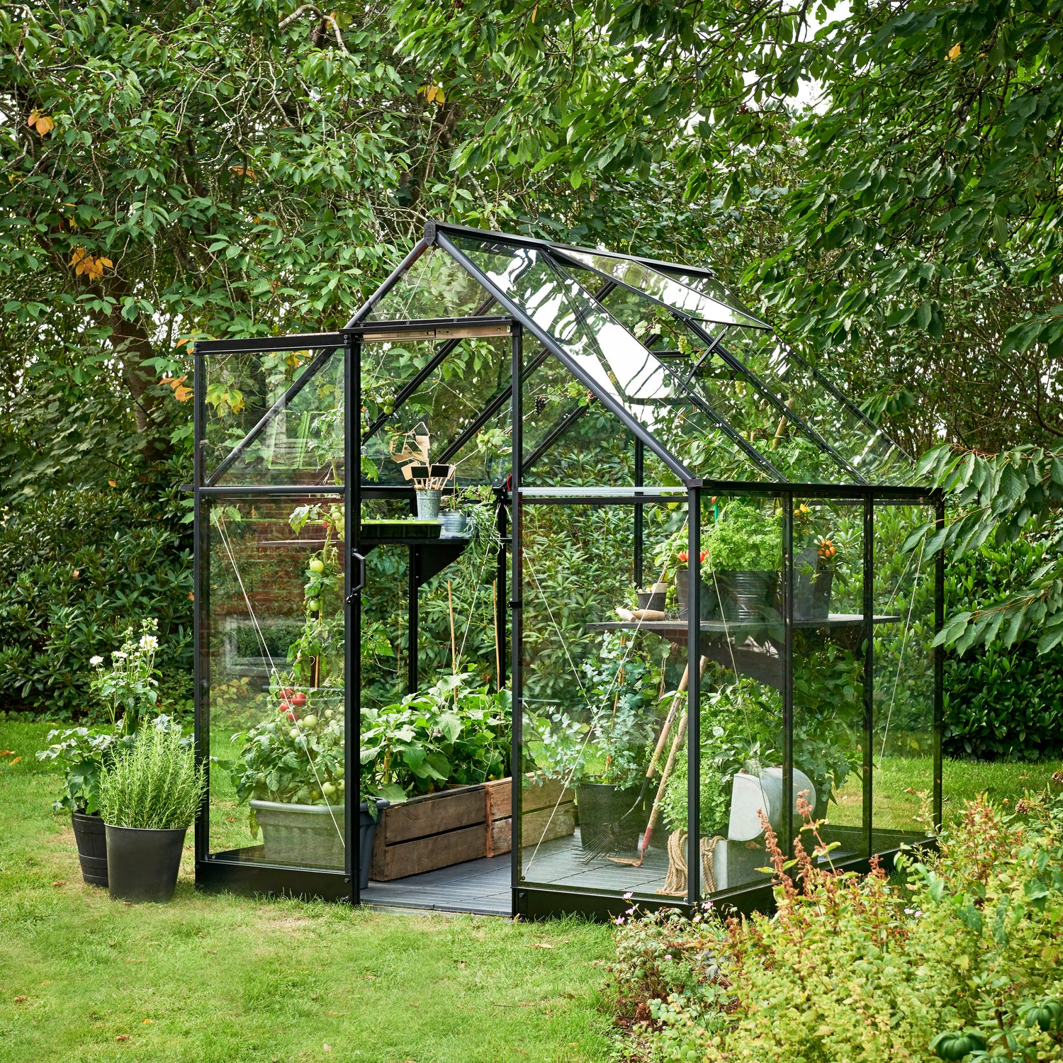 Royal Well Qube 66 Tuinkas met veiligheidsglas