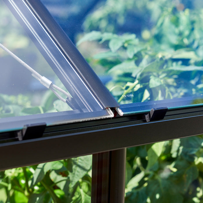 Royal Well Qube 66 Tuinkas met veiligheidsglas