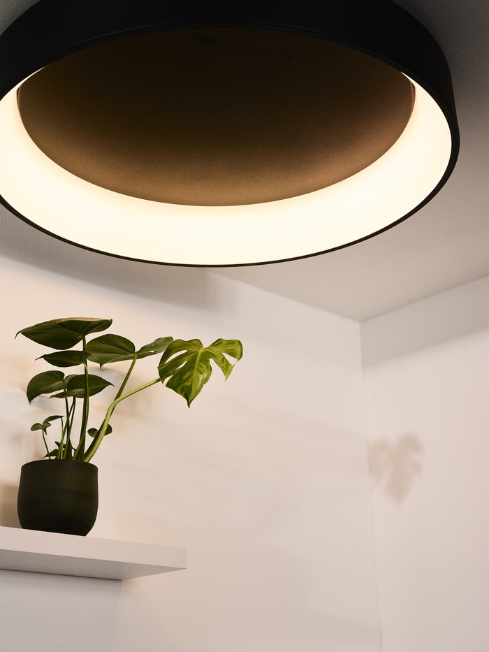 a5ed5b60-17b8-4a54-9d8b-b11661c95f39-afbeelding4.jpg (2740215) 