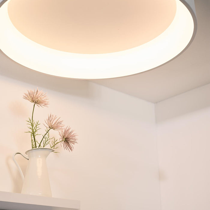 f6834771-fa38-4bb0-a9f7-c1e67f9c166e-afbeelding4.jpg (2743178) 