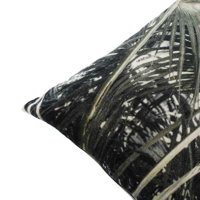 70deae69-74e5-4c94-a086-43442dab77de-afbeelding4.jpg (2747338) 