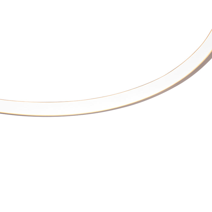 3ed72e65-0b6e-43a9-9f65-85252c9919dc-afbeelding5.jpg (2748092) 