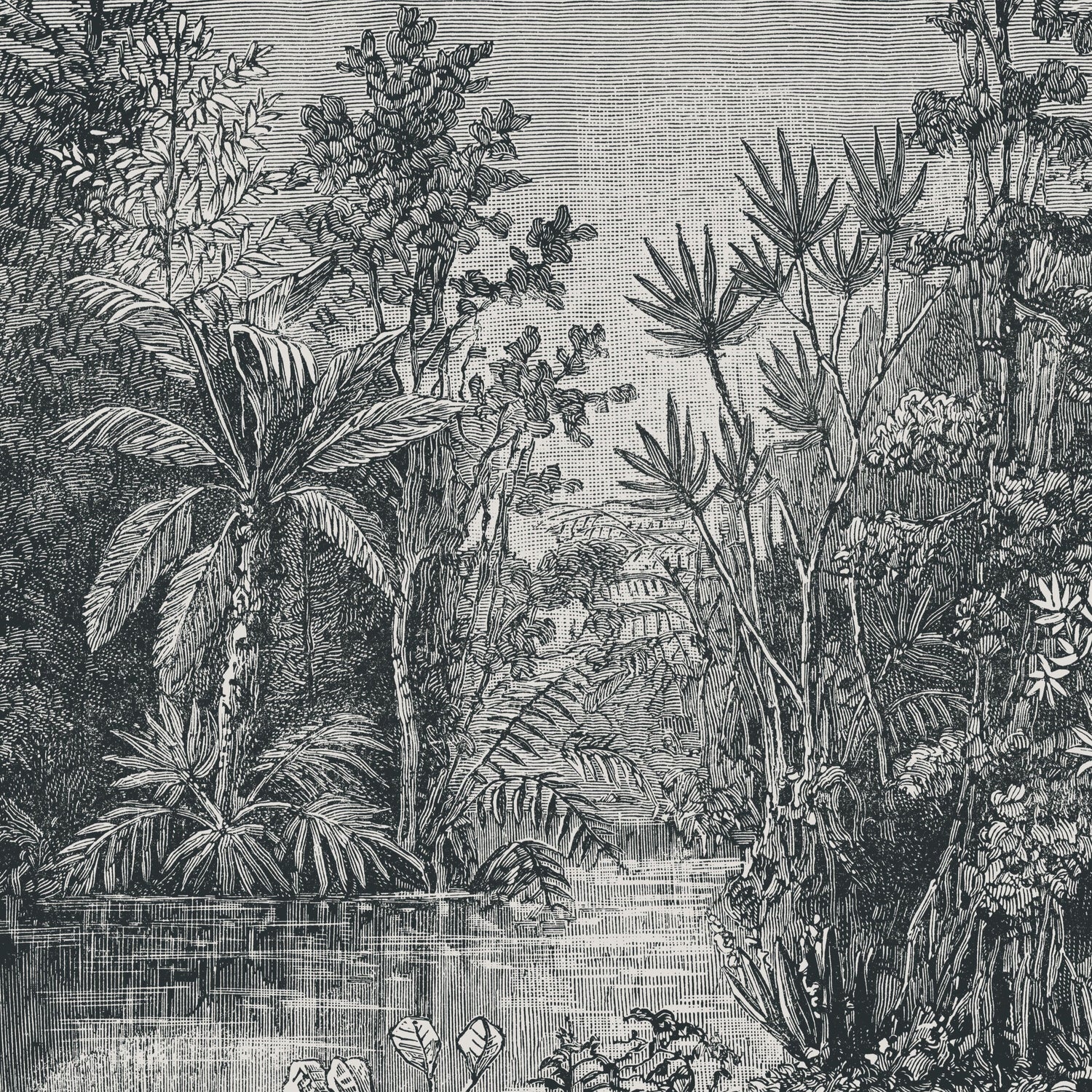 Art for the Home Jungle Fotobehang in Black