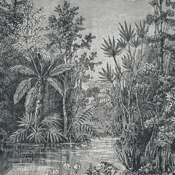 Art for the Home Jungle Fotobehang in Black