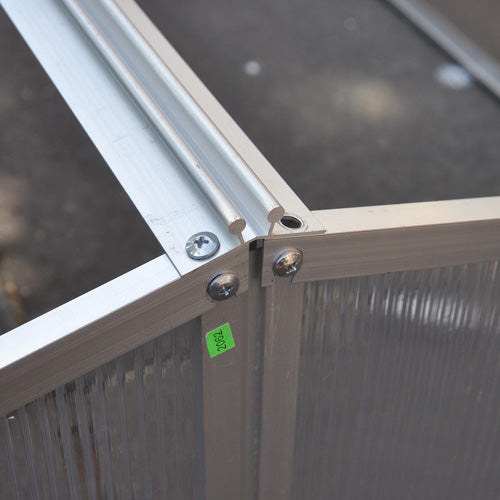 Royal Well Broeikas Silver Thyme