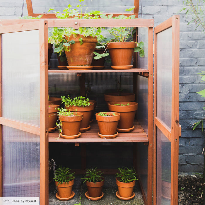 Royal Well Patiokas Rosemary's Choice