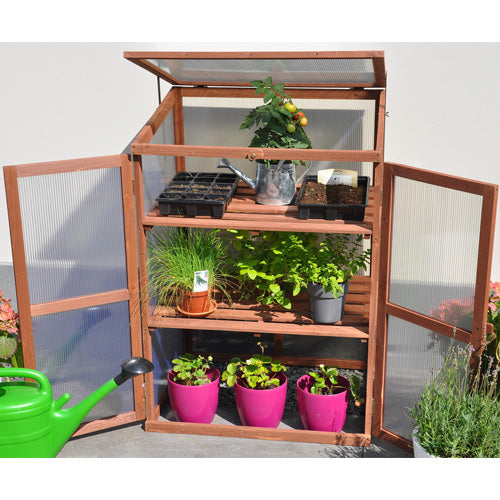 Royal Well Patiokas Rosemary's Choice