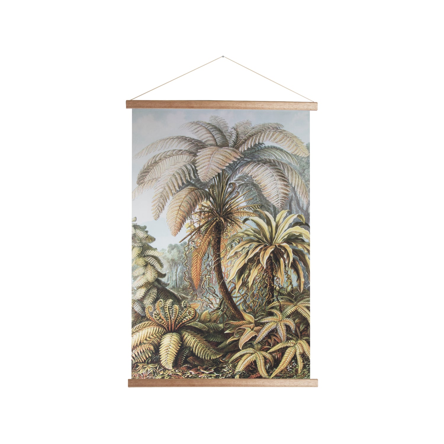 276547-x0.jpg (2769819) 