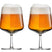 Iittala Essence Bierglas 0,48 L - 2 st.