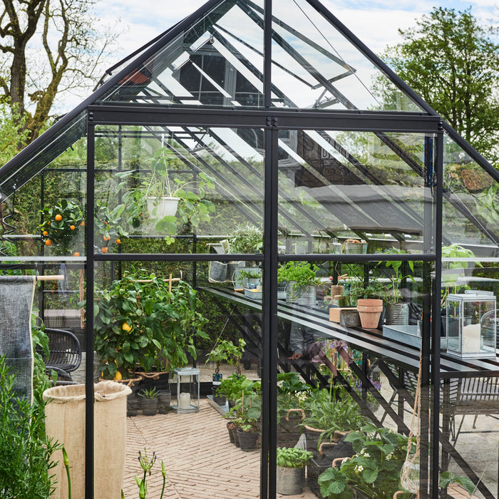 Royal Well Qube 168 Tuinkas met veiligheidsglas