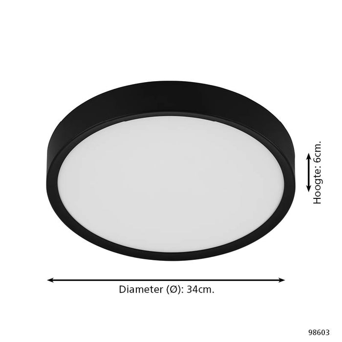 292554-x04.jpg (2790401) 