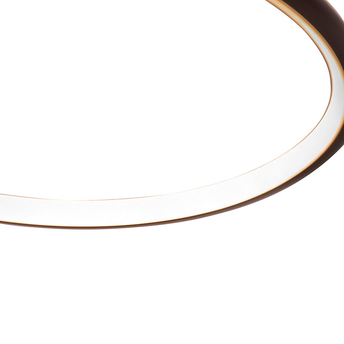 f12dc286-ad9f-4fc2-a4bd-81633bdfc082-afbeelding5.jpg (2792525) 