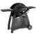 Weber Q3000 Gasbarbecue