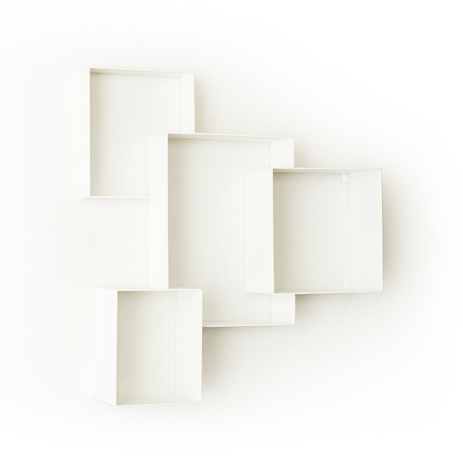 219556-x0.jpg (2796022) 