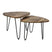 HSM Collection Dexter Salontafel Set van 2
