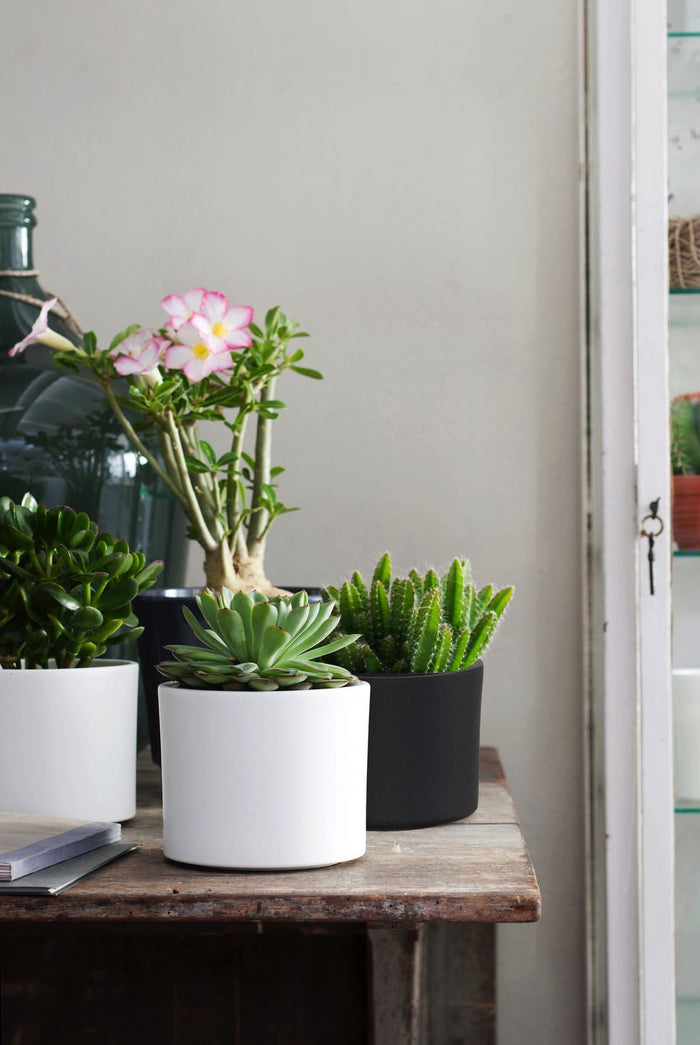 f1bf5e70-c88e-4310-a5ab-85fcaf2e0ab1-sfeerbeeld.jpg (2834648) 