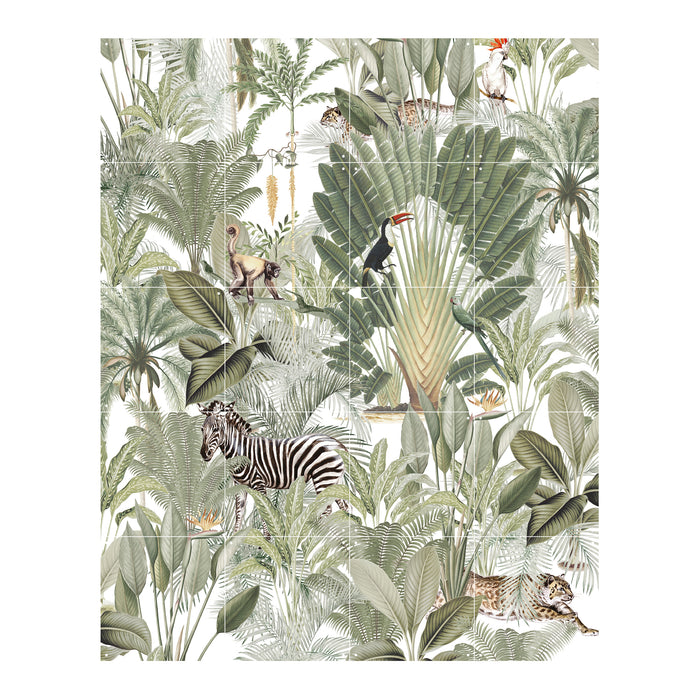 248579-x1.jpg (2863073) 