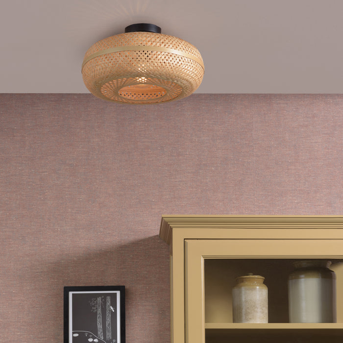 299580-x01.jpg (2865962) 