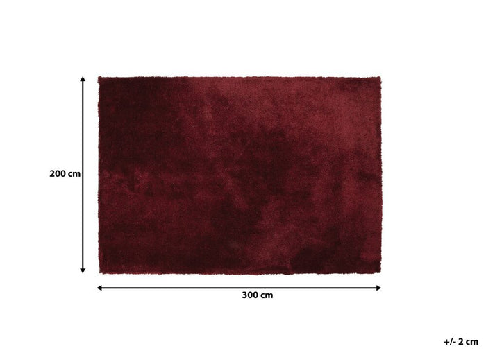 Beliani - EVREN - Shaggy vloerkleed - Rood - 200 x 300 cm - Polyester