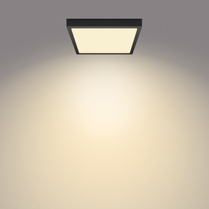 9c75cae6-f8f2-4874-ac62-3875c2ba5f94-afbeelding6.jpg (2907665) 