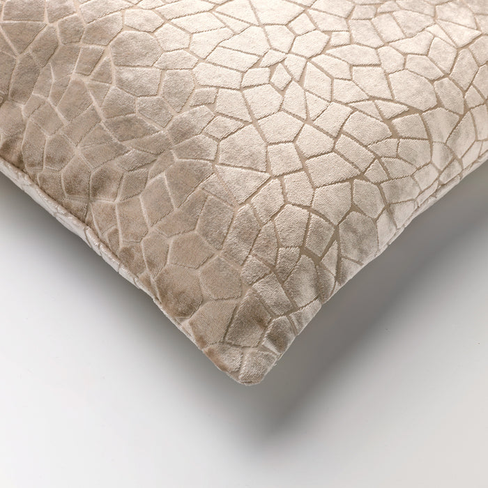 63e8d617-c43b-49cc-aa41-a9c2ffa6099d-afbeelding3.jpg (2910280) 